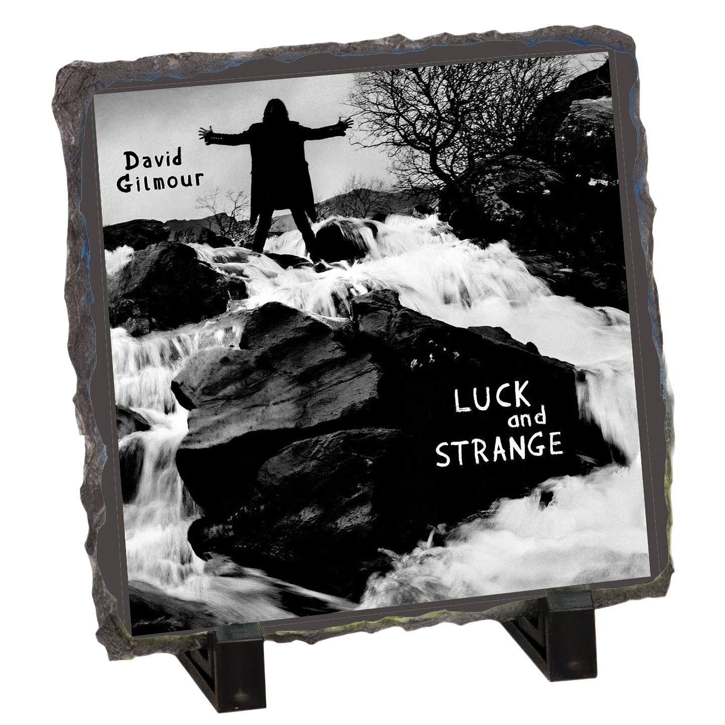 Luck and Strange Cover Photo Slate