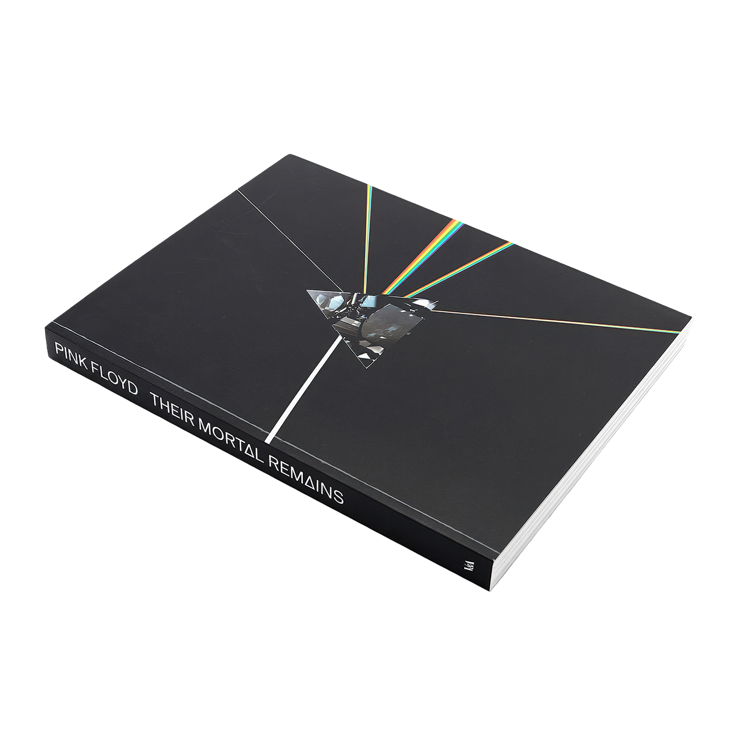 Pink Floyd: Their Mortal Remains Book (Paperback)
