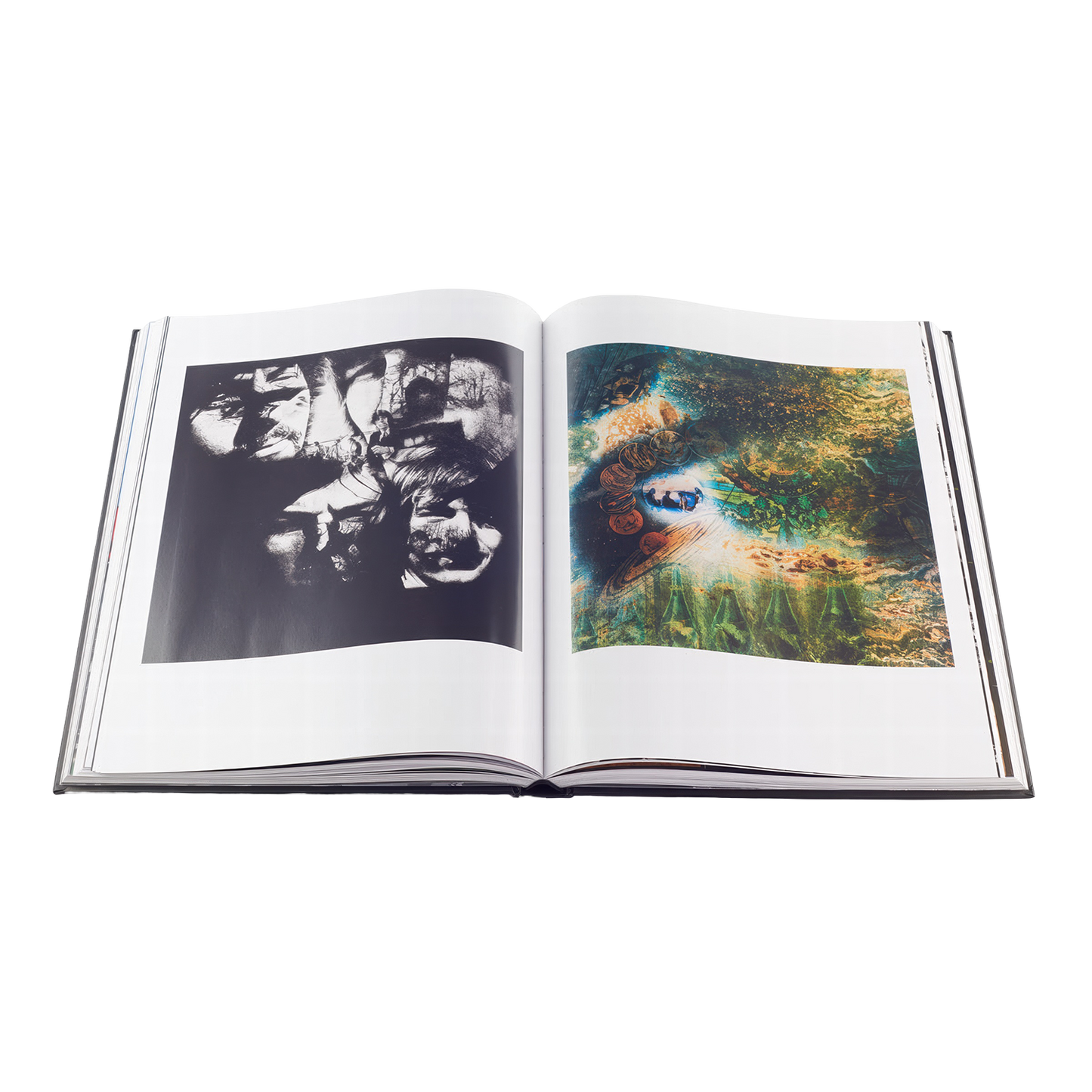 Pink Floyd: Their Mortal Remains Book (Paperback)