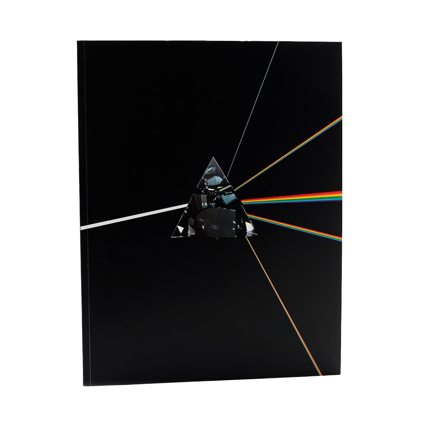 Pink Floyd: Their Mortal Remains Book (Paperback)