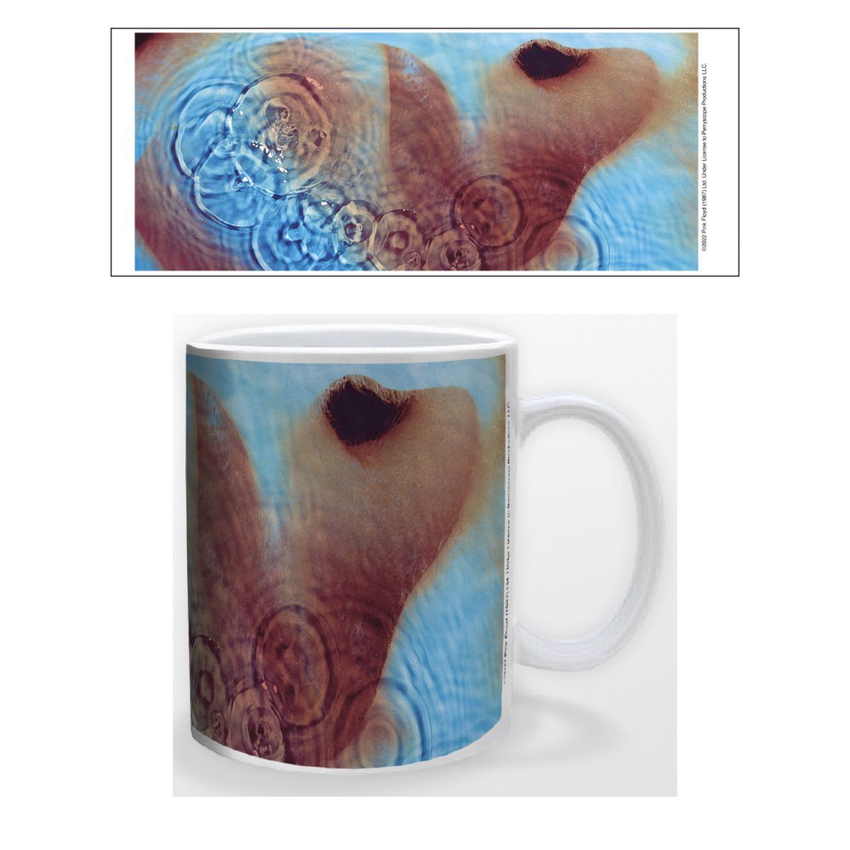 Pink Floyd - Meddle Mug