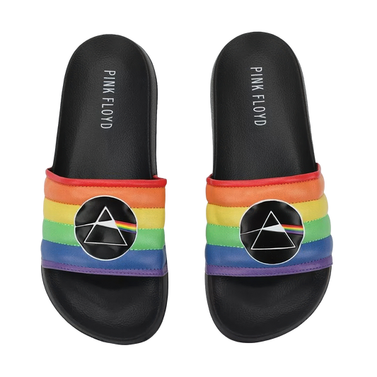 Pink Floyd DSOTM Rainbow Slides
