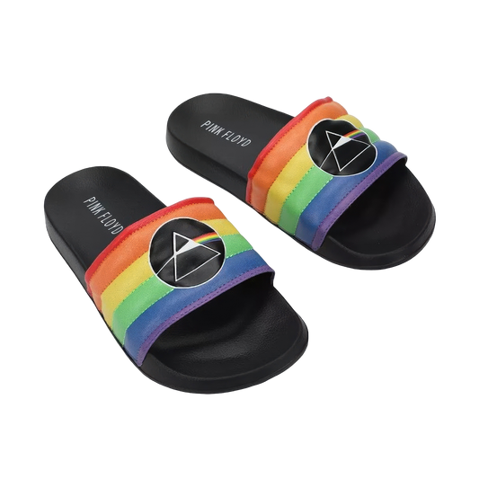 Pink Floyd DSOTM Rainbow Slides