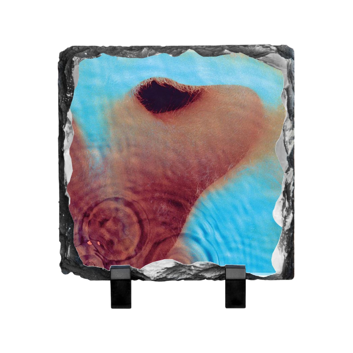Meddle Photo Slate