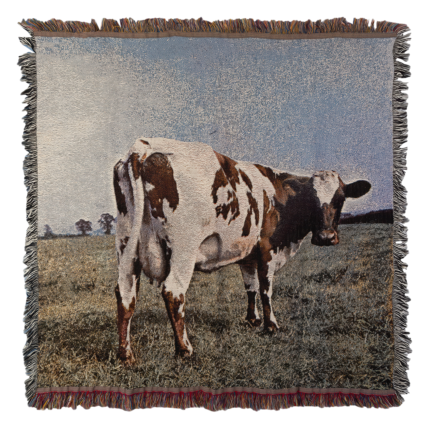 Atom Heart Mother Throw Blanket