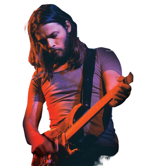 Pink Floyd Easy Guitar with Riffs and Solos