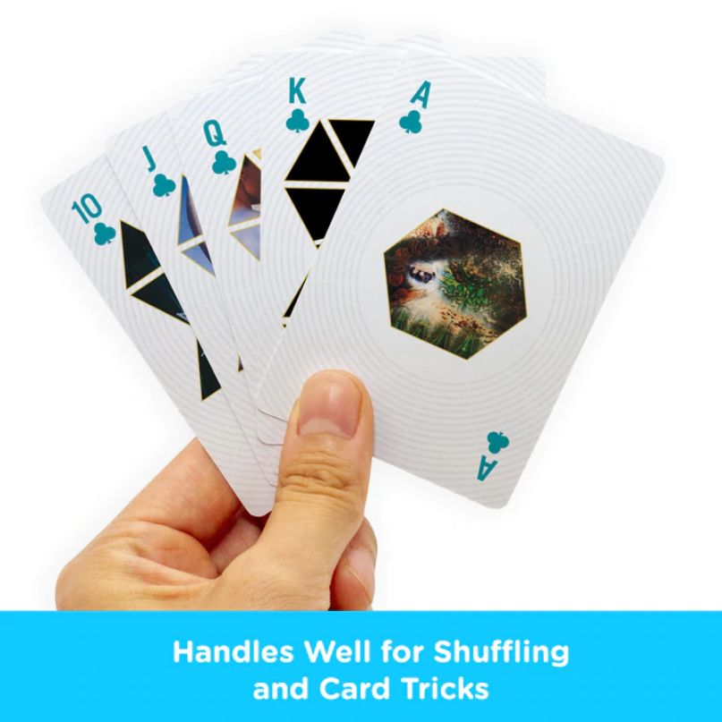 Pink Floyd Playing Cards