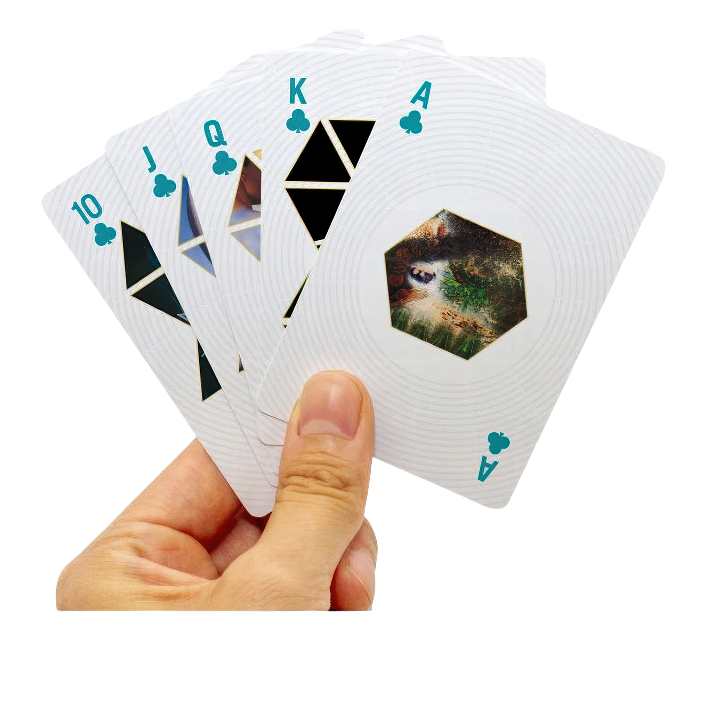 Pink Floyd Playing Cards