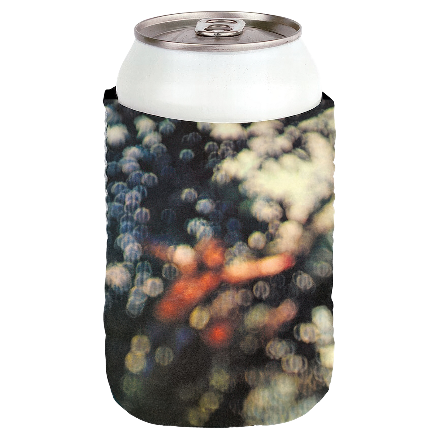 Obscured By Clouds Coozie