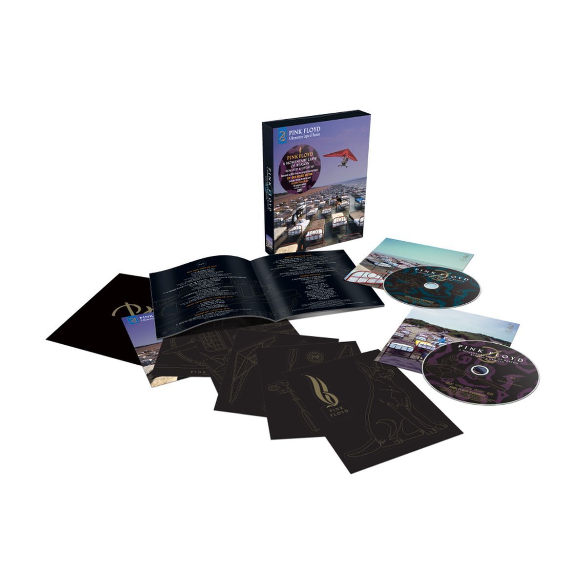 A Momentary Lapse Of Reason (Remixed & Updated) DVD/CD