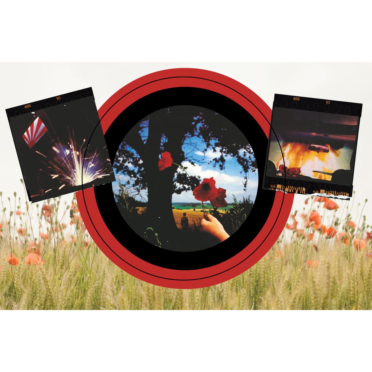 Final Cut Fine Art Print