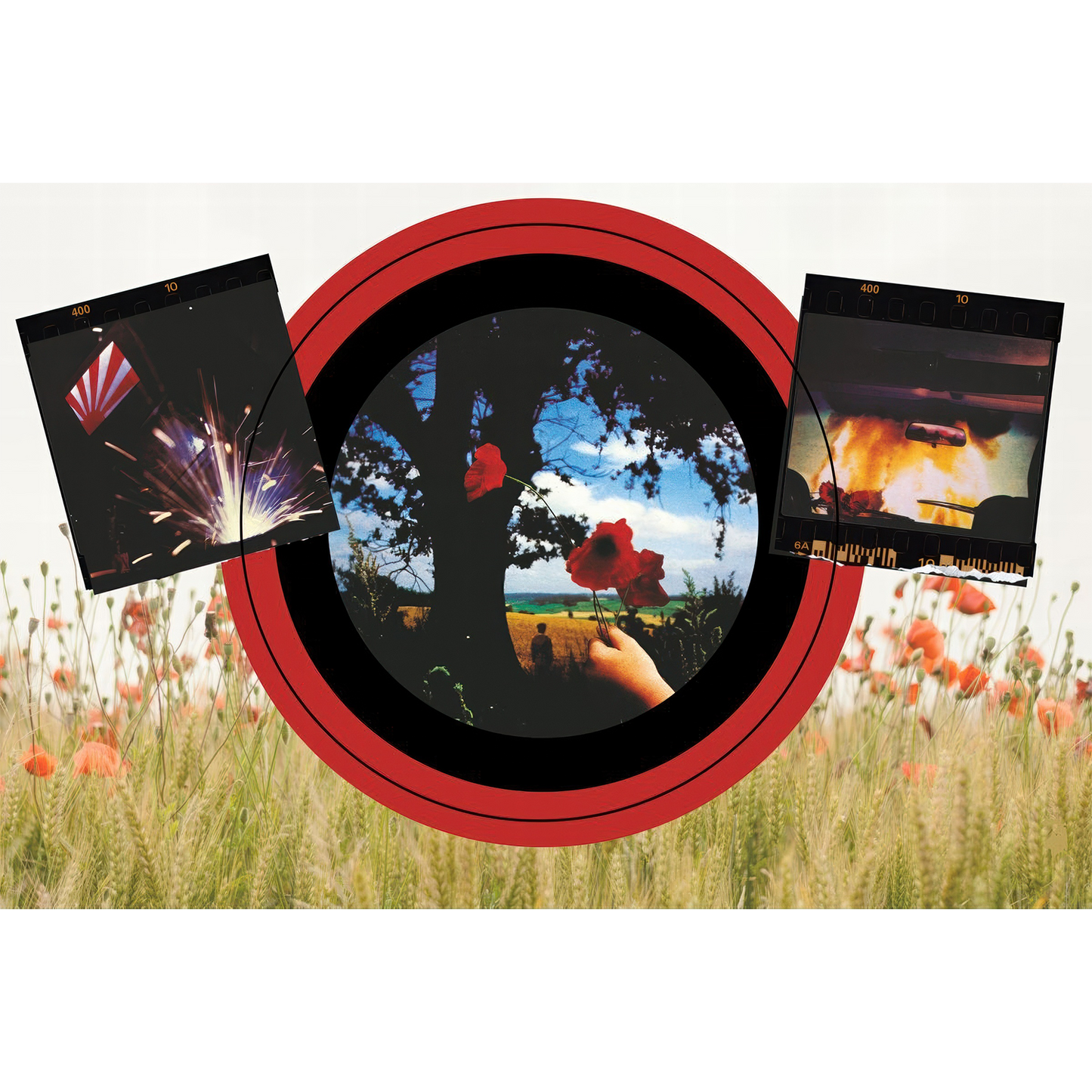 Final Cut Fine Art Print