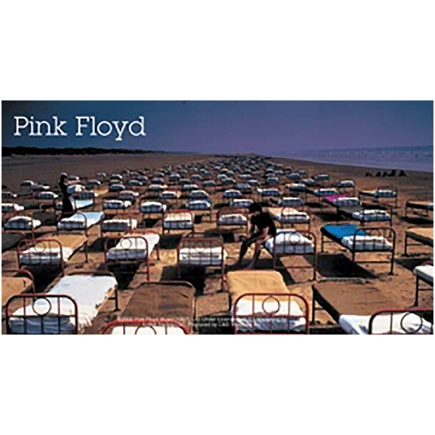 Pink Floyd Bed 6"x3.25" Sticker