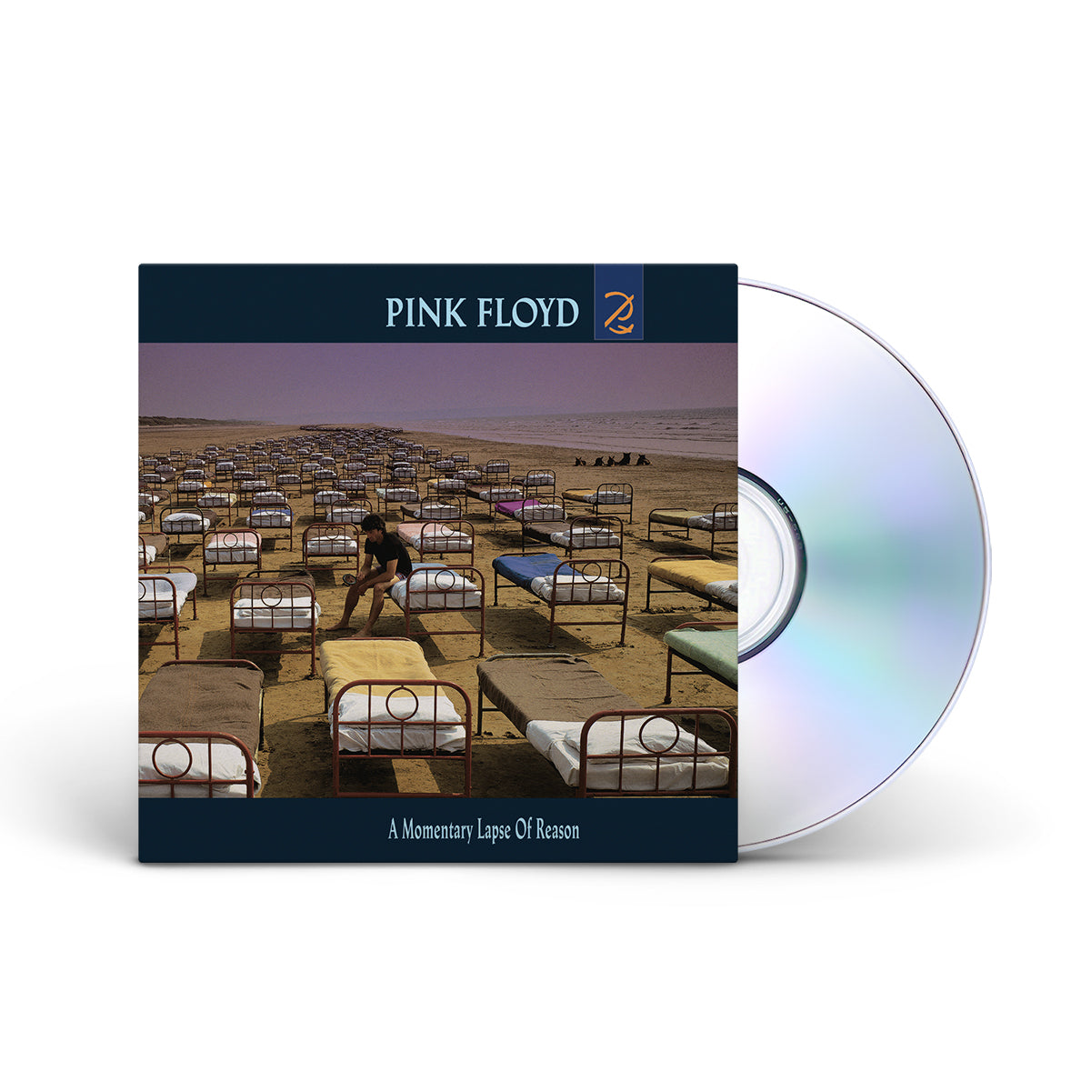 A Momentary Lapse Of Reason CD