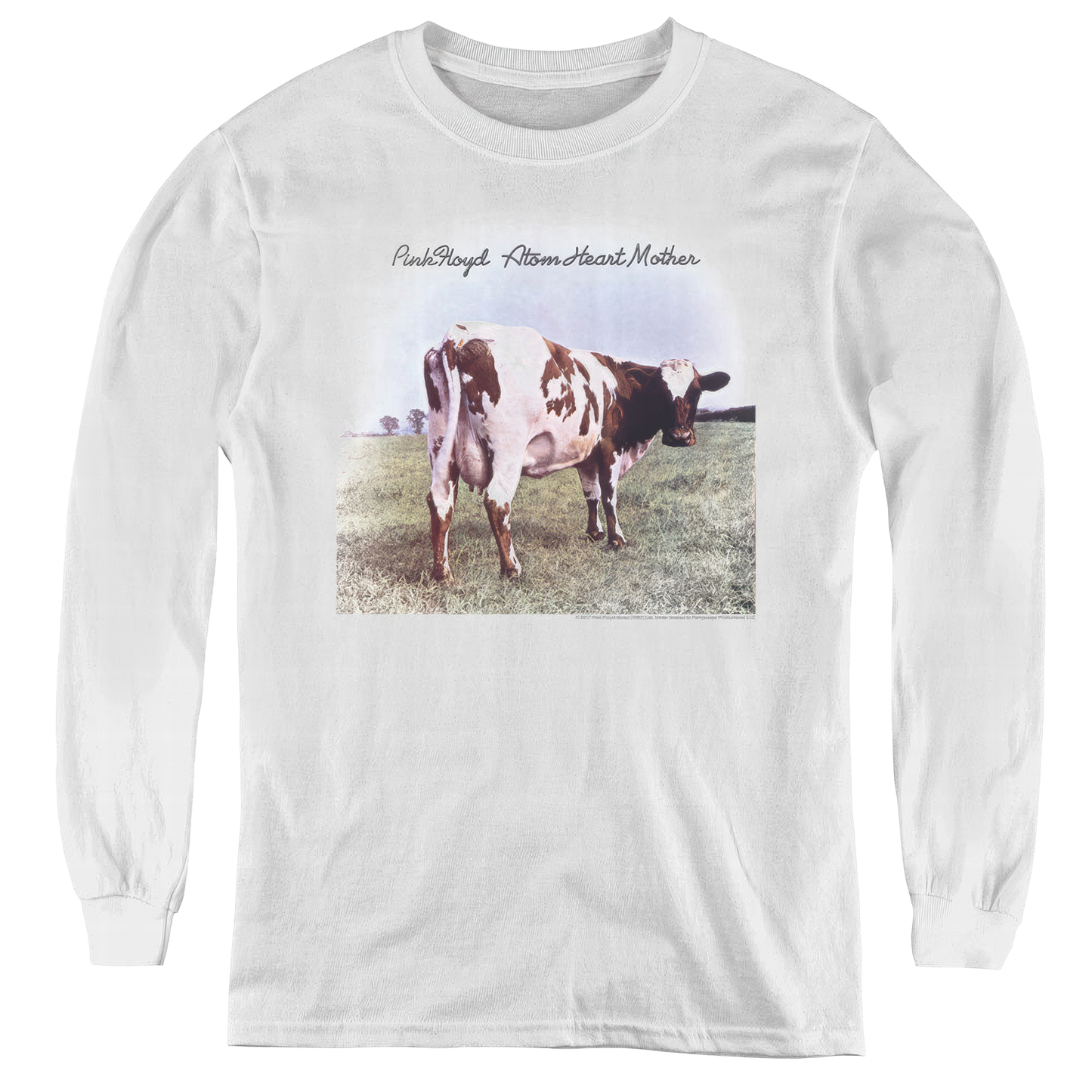 Atom Heart Mother Youth Logo