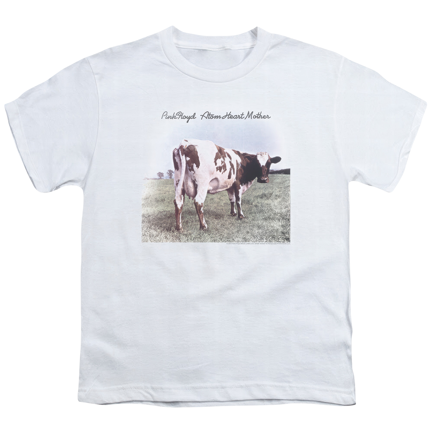 Atom Heart Mother Youth Logo