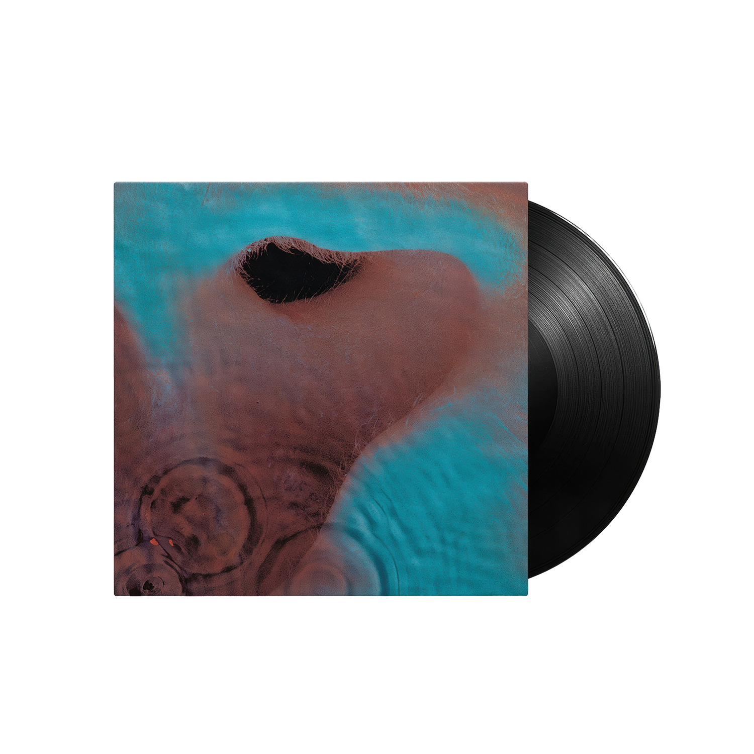 Meddle 180g Vinyl LP | Pink Floyd Official Meddle 180g Vinyl LP | Pink Floyd Official