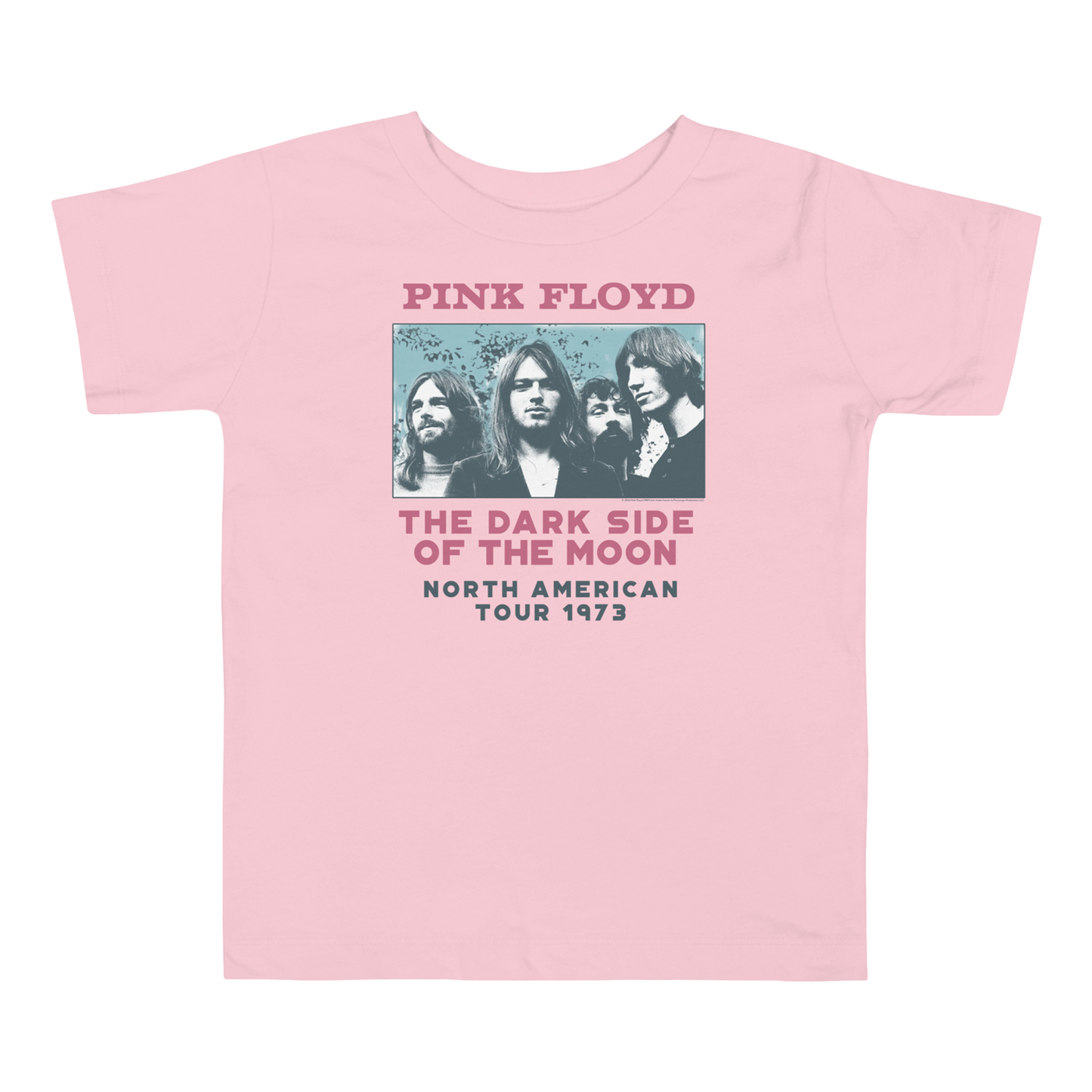 TDSOTM 1973 Tour Toddler T-Shirt