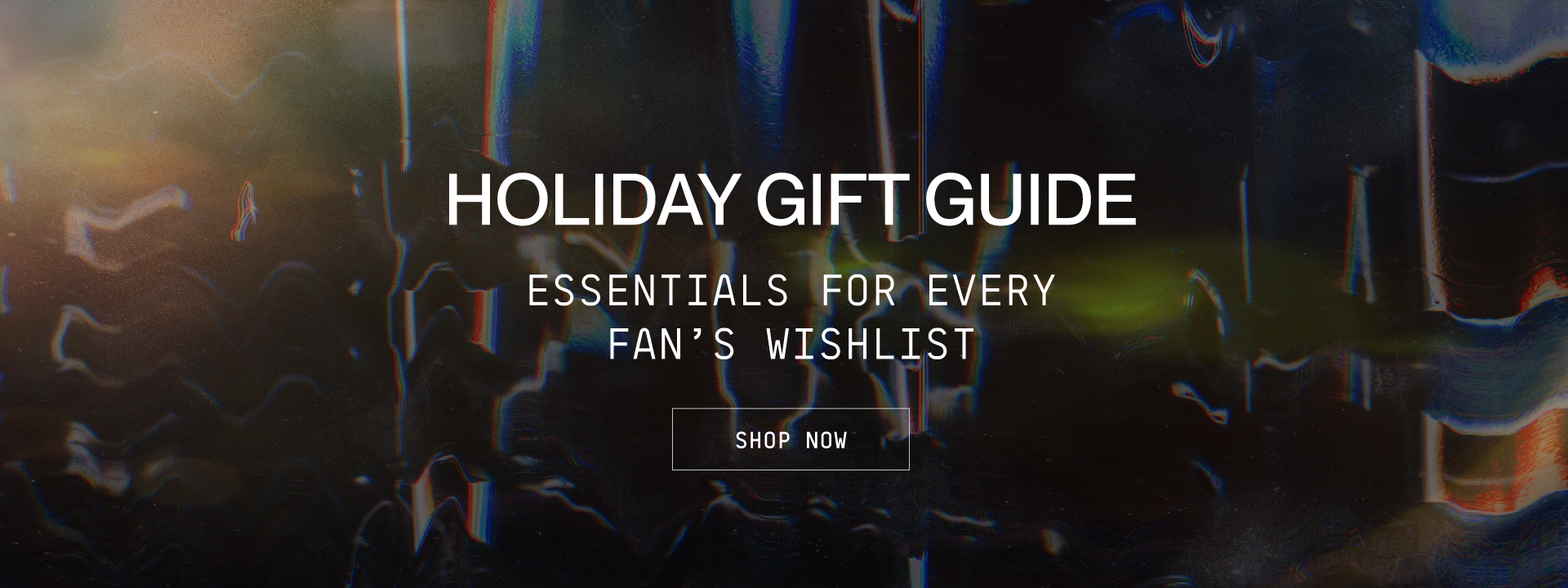 Check Out Our Holiday Gift Guide!