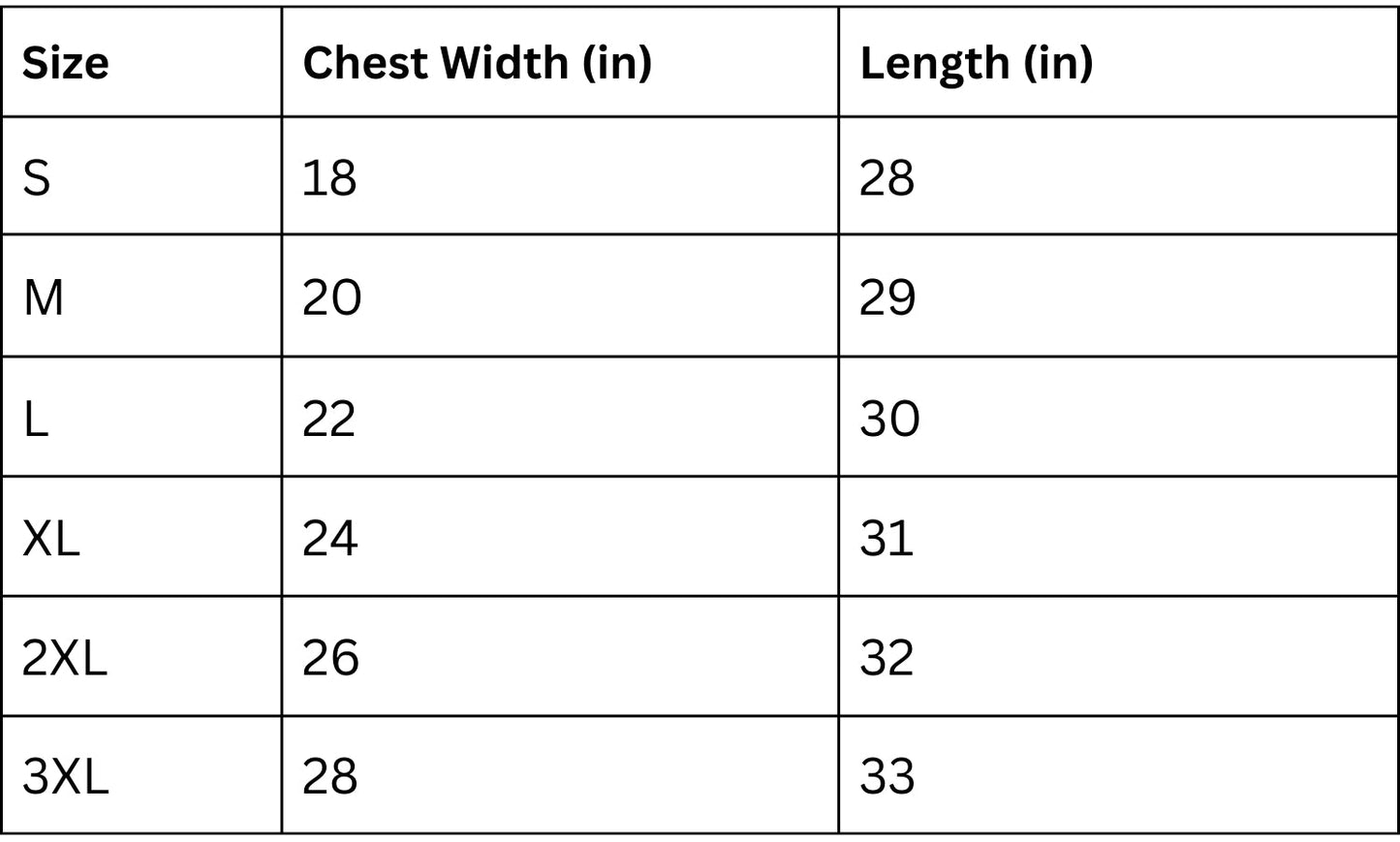 Dark Side of the Moon North America Tour 1973 Double Sided T-Shirt