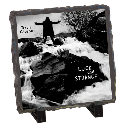 Luck and Strange Cover Photo Slate