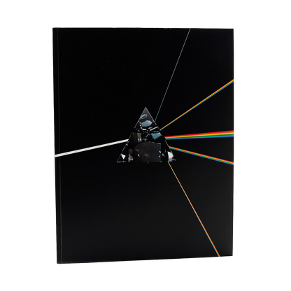 Pink Floyd: Their Mortal Remains Book (Paperback)