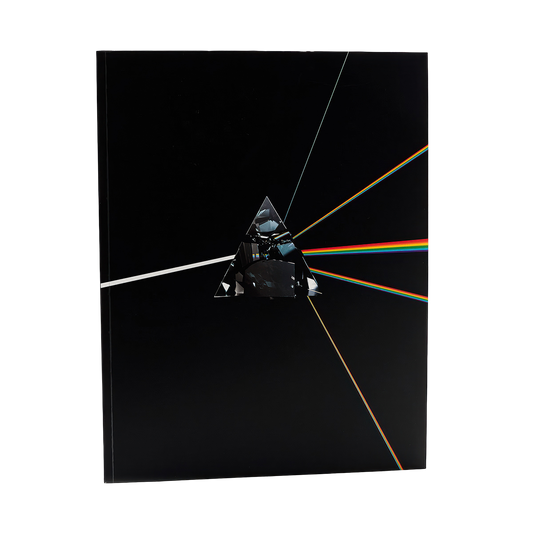Pink Floyd: Their Mortal Remains Book (Paperback)