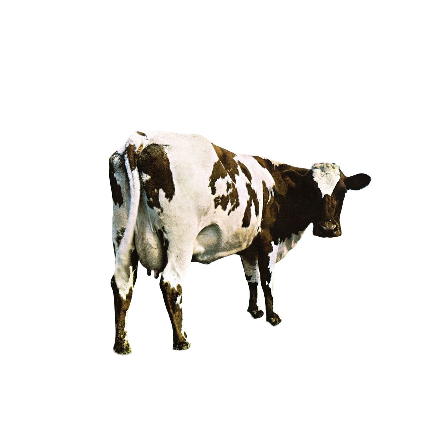Atom Heart Mother Magnet