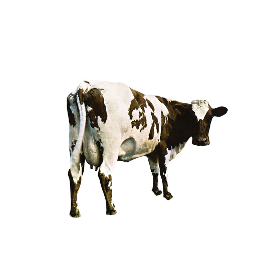 Atom Heart Mother Magnet