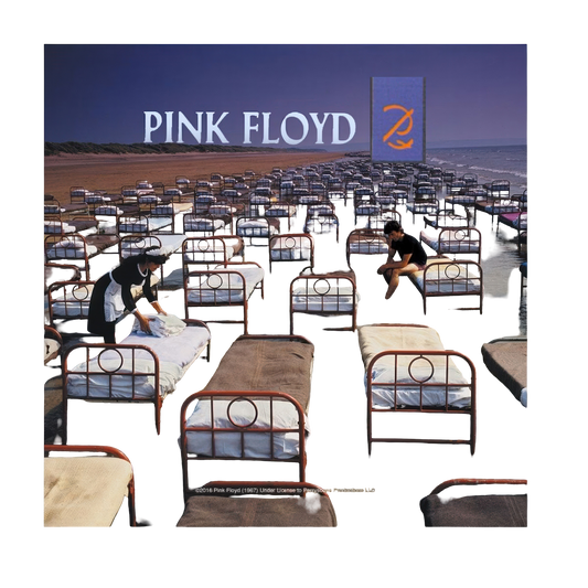 A Momentary Lapse Of Reason Magnet