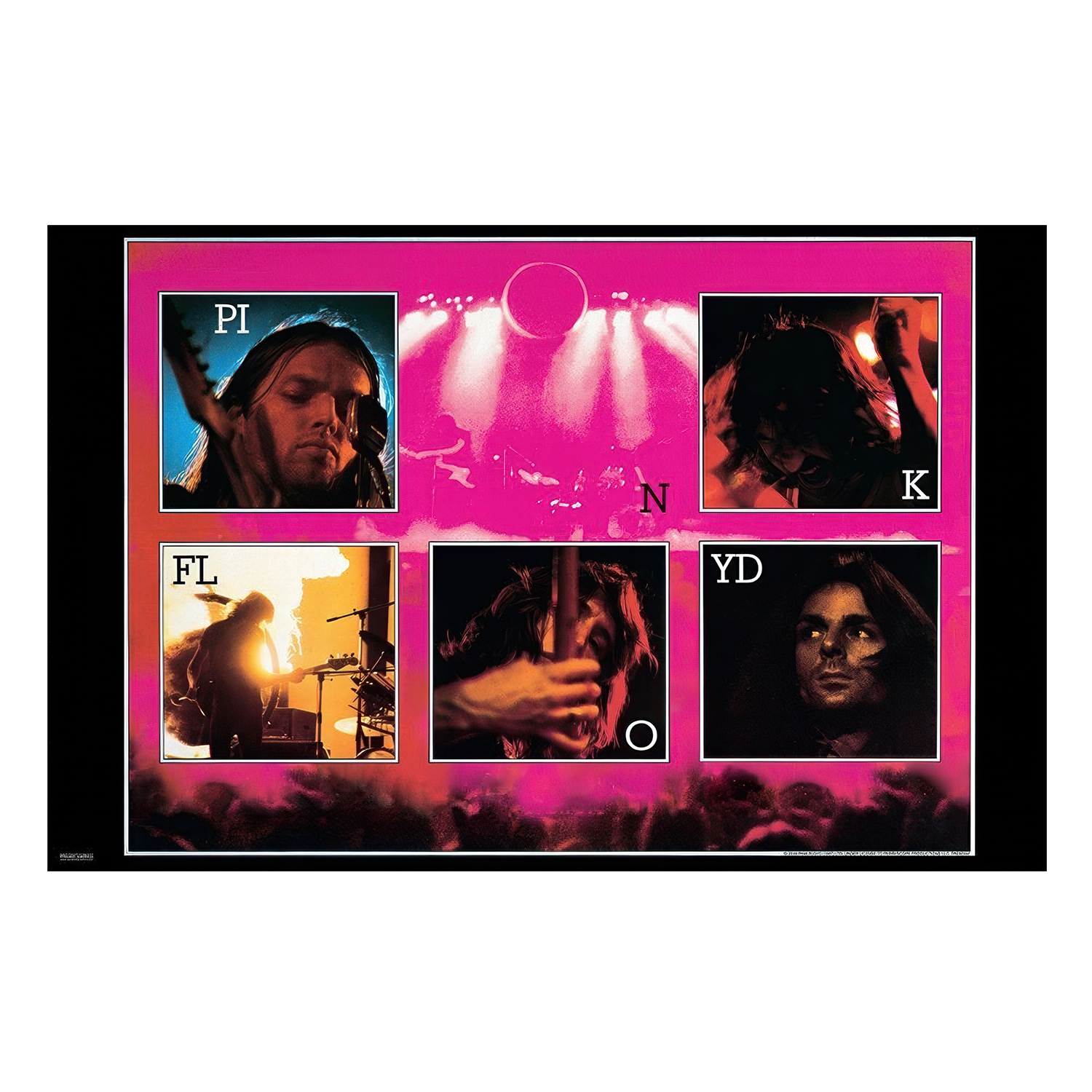 Pink Floyd Live 11x17 Framed Print