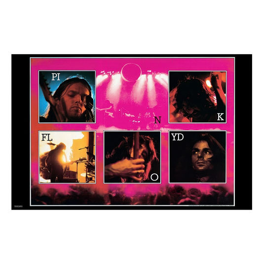 Pink Floyd Live 11x17 Framed Print