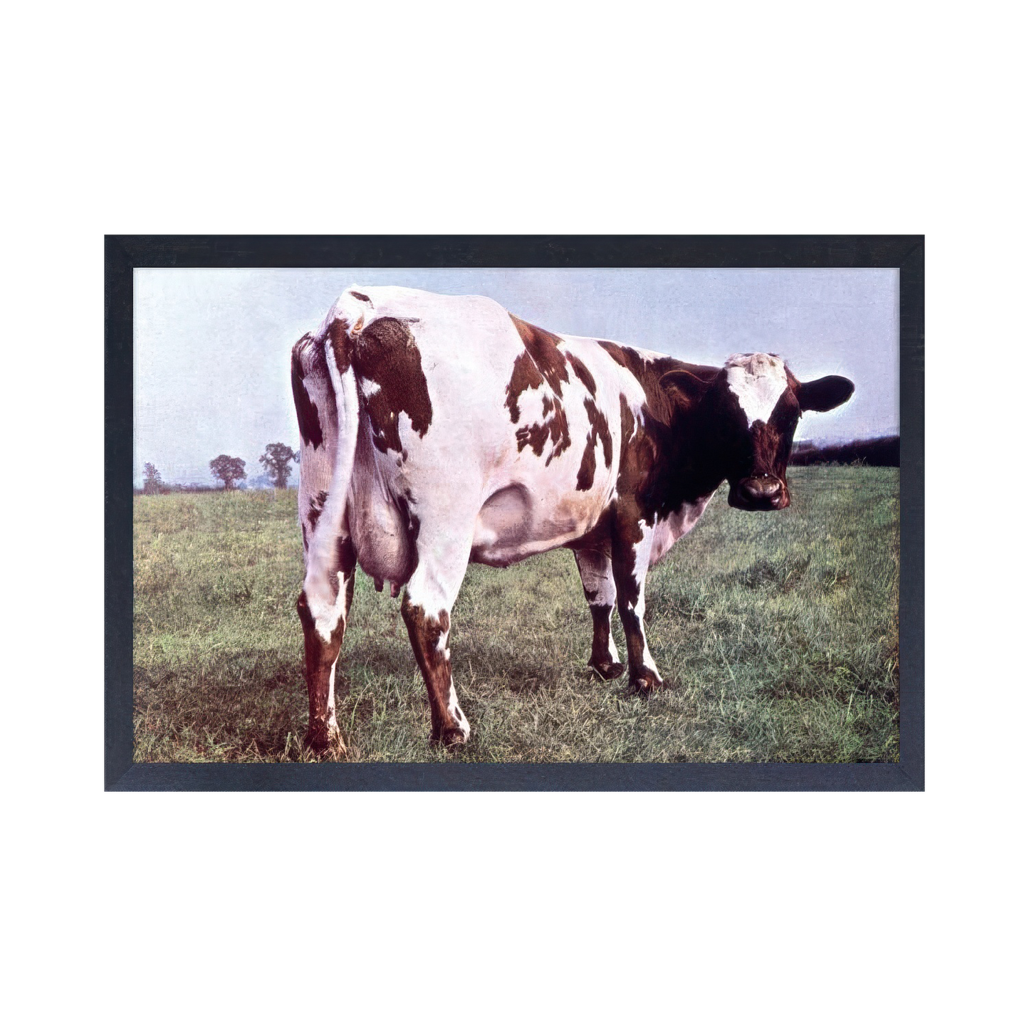 Pink Floyd - Atom Heart 11x17 Framed Print