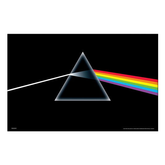Pink Floyd - Dark Side of the Moon 11x17 Framed Print