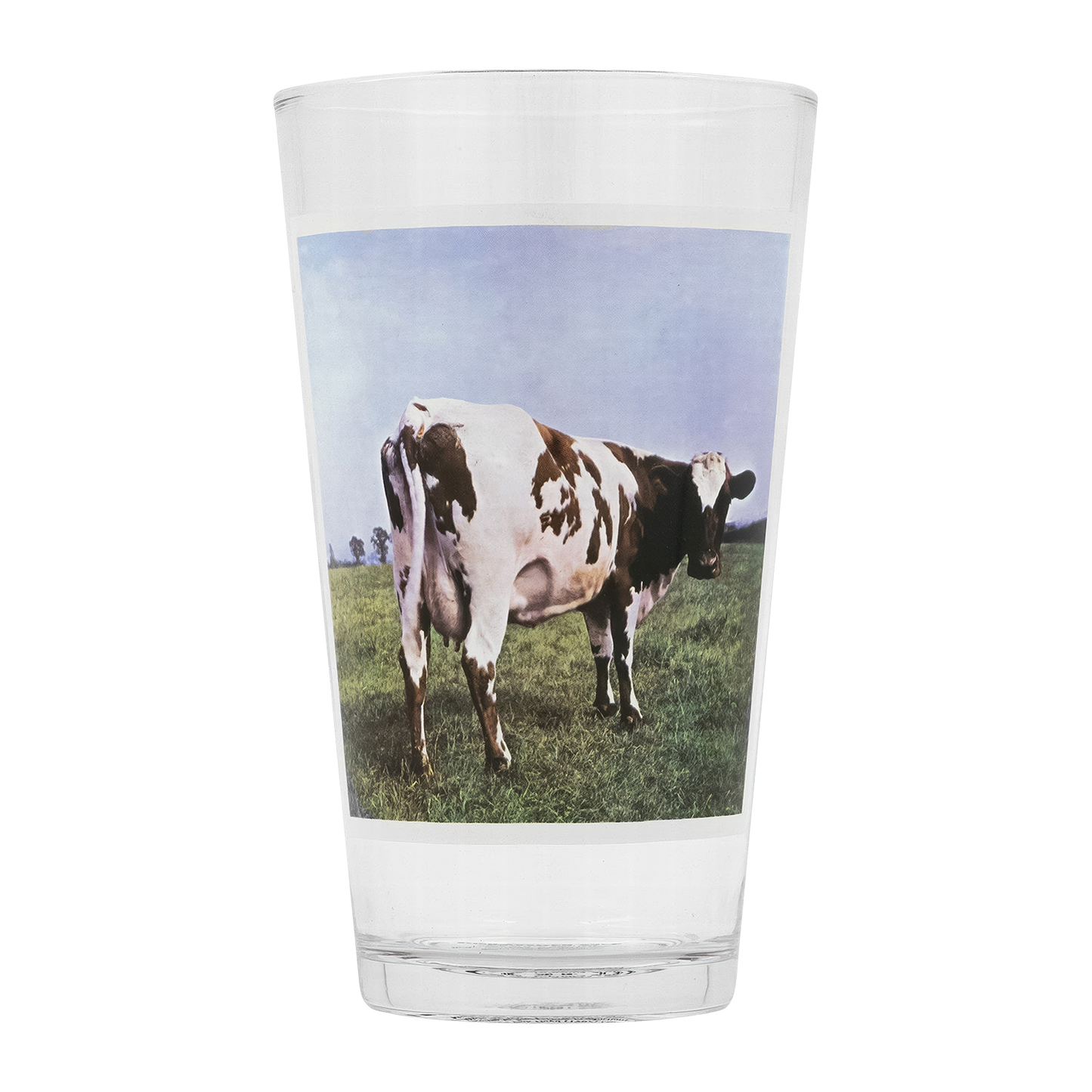 Pink Floyd Album Covers 16oz Glass 4 Pack Pint Glasses