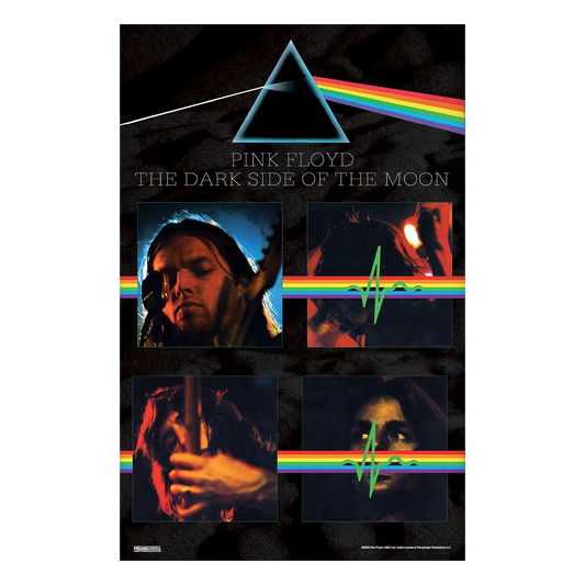 Pink Floyd - DSOTM Band Live 11x17 Framed Print