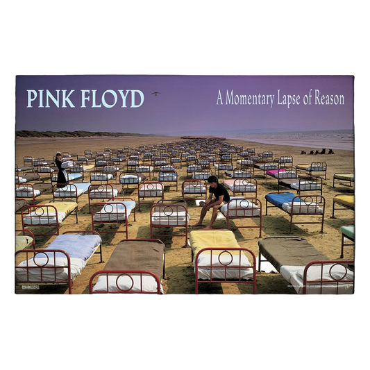 Pink Floyd - AMLOR 11x17 Framed Print