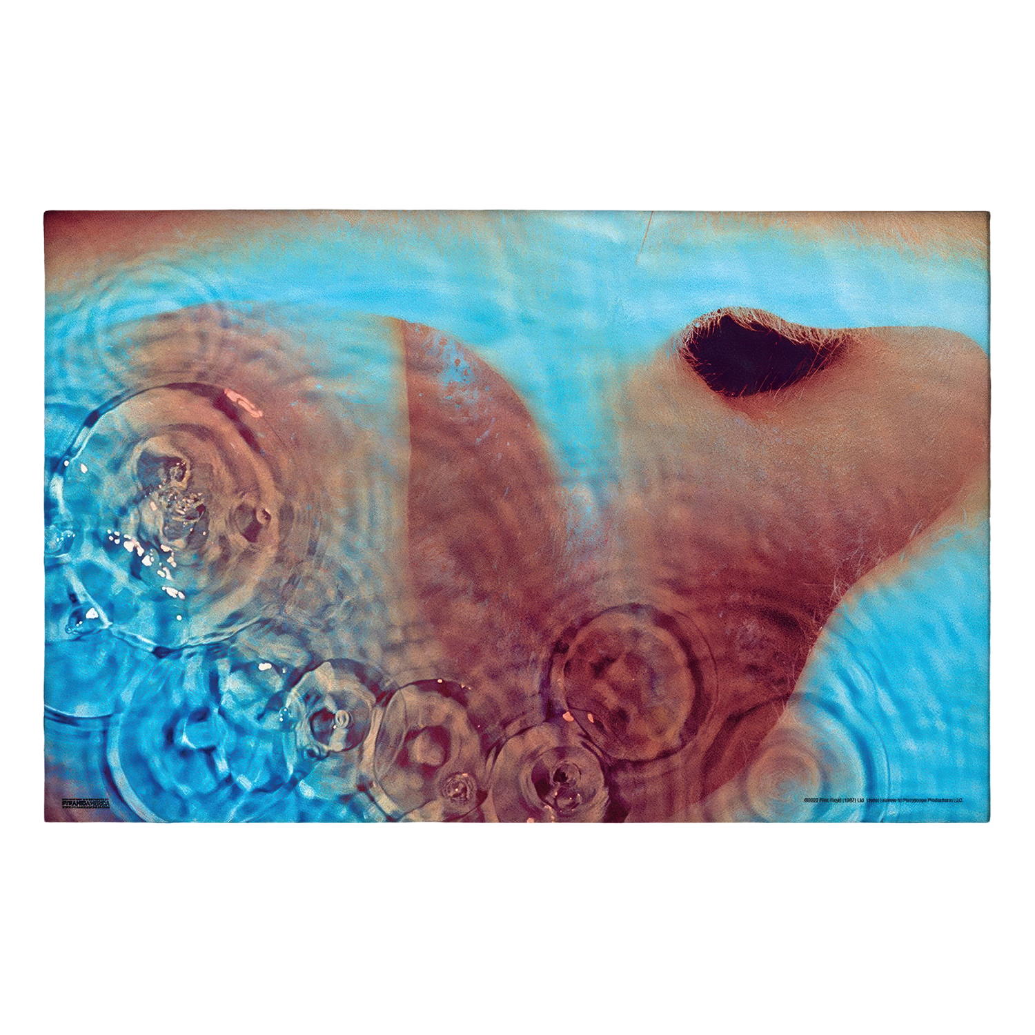 Pink Floyd - Meddle 11x17 Framed Print