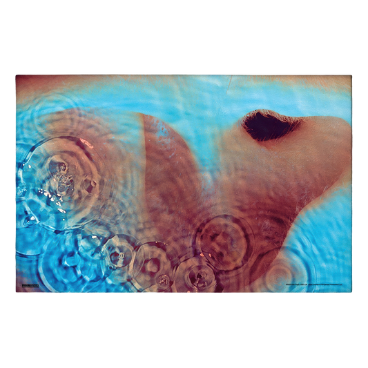 Pink Floyd - Meddle 11x17 Framed Print