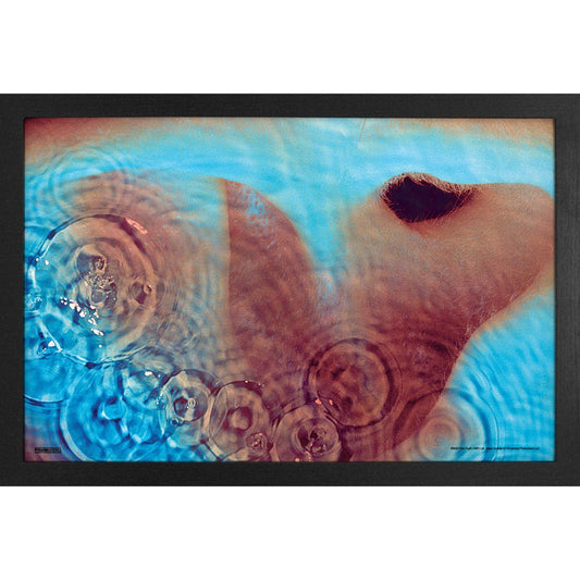 Pink Floyd - Meddle 11x17 Framed Print