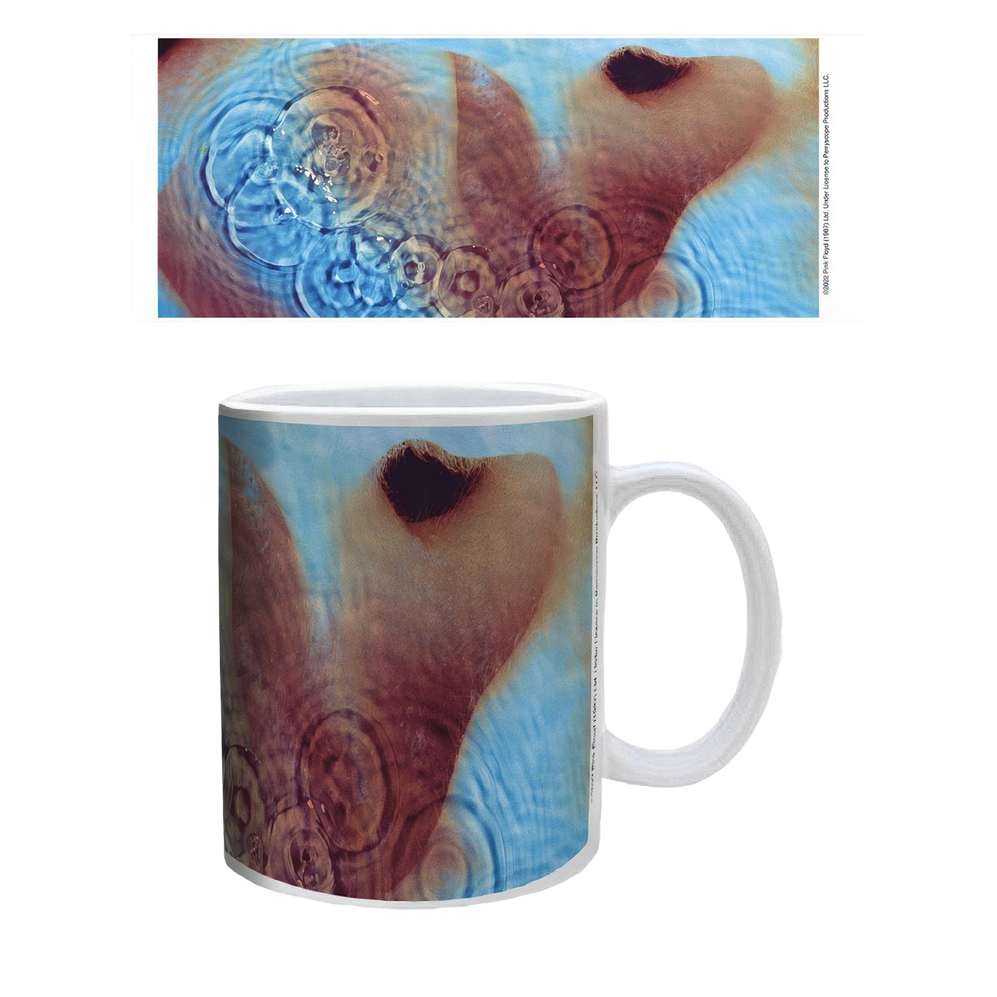 Pink Floyd - Meddle Mug