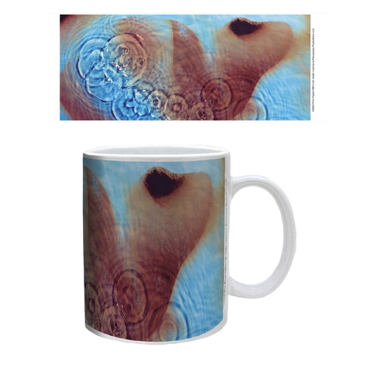 Pink Floyd - Meddle Mug