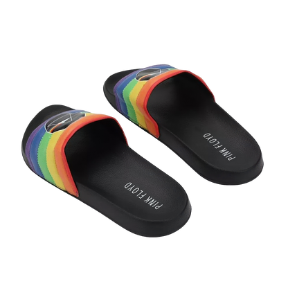 Pink Floyd DSOTM Rainbow Slides
