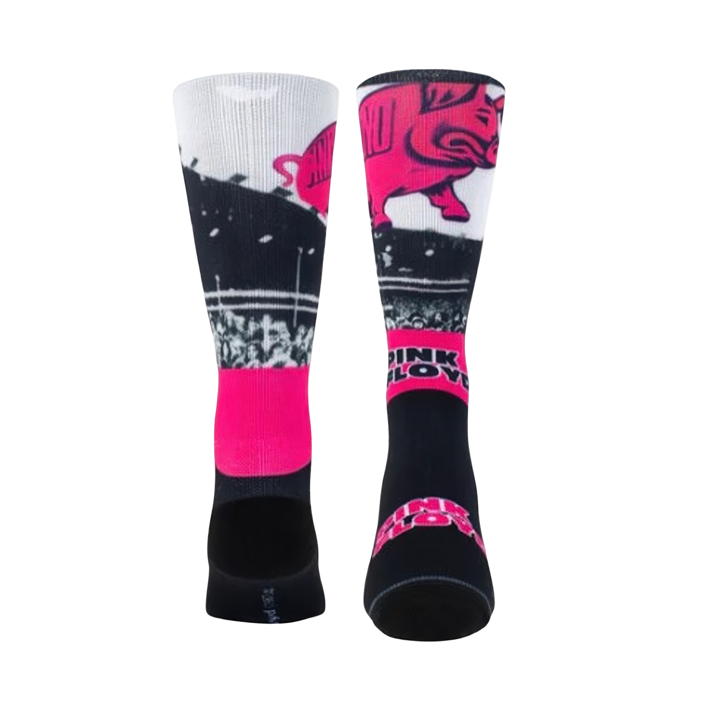 Pink Floyd Pigs Socks