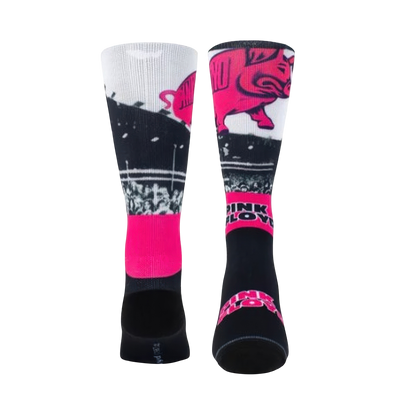 Pink Floyd Pigs Socks