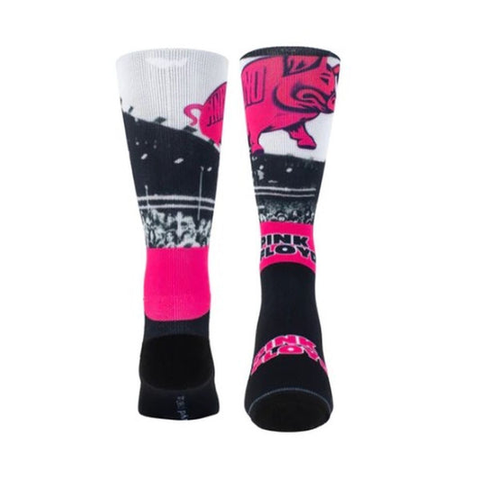 Pink Floyd Pigs Socks
