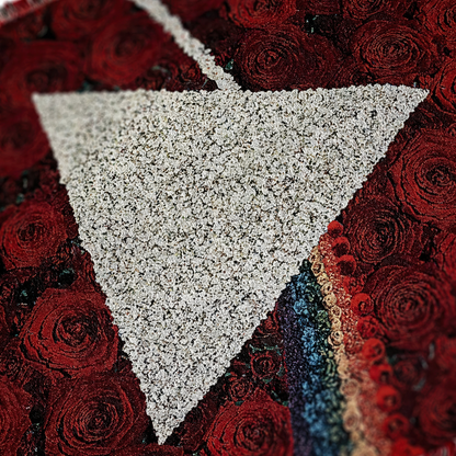 Pink Floyd TDSOTM Roses Throw Blanket