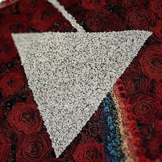 Pink Floyd TDSOTM Roses Throw Blanket