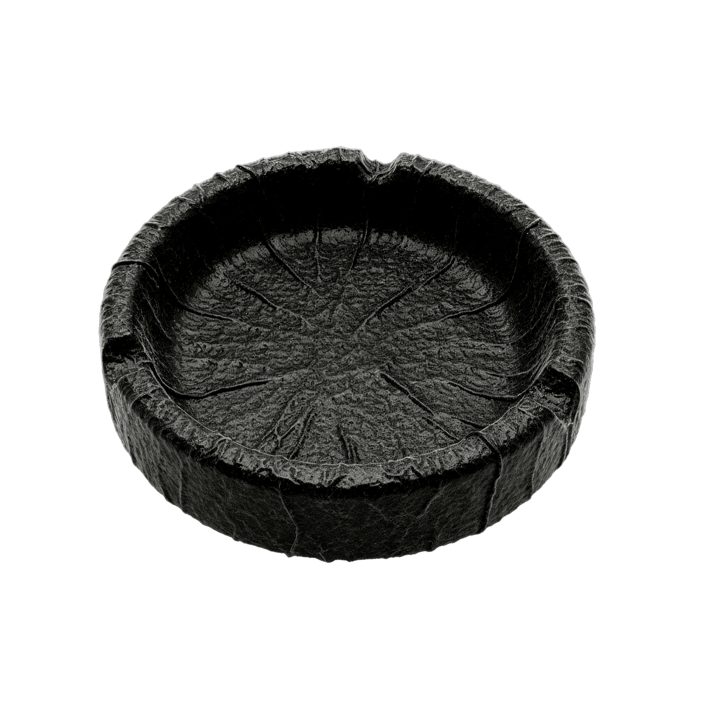 Limited Edition: WYWH 50 Ashtray