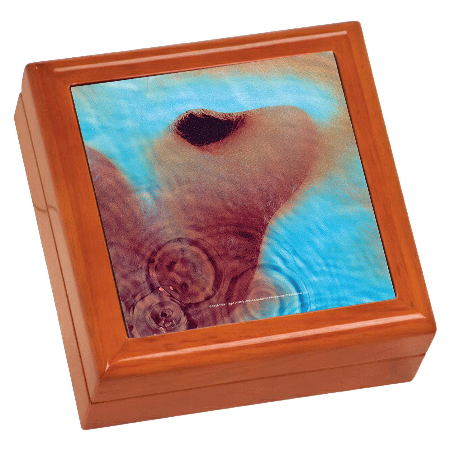 Meddle Wooden Keepsake Box
